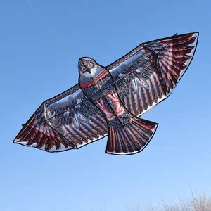 风筝大型老鹰特色儿童大号好看的立体前撑杆超大黑钢鹰金鹰3d