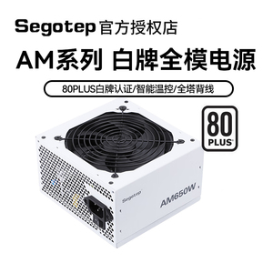 鑫谷AM650全模组650W白牌 台式机电脑静音电源AM750/850W/1000W