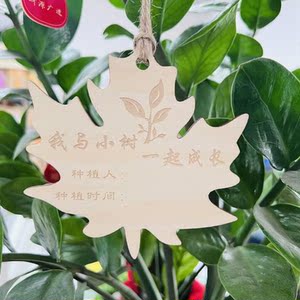 树木标识学校植树节挂牌认养牌挂在树上的牌子标签插牌树牌吊牌