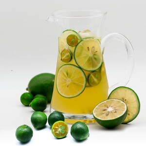 海南青金桔酸青橘青桔餐饮奶茶店果茶水果薄皮多汁大中小可选