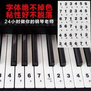 键盘垫练习垫简易电子琴音符贴使用指法钢琴音标贴琴键简谱标贴指