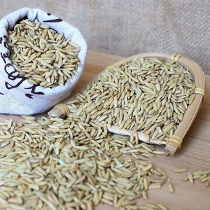 惠20年稻谷h长粒带壳喂农鸭鹅鸽鸟鸡家稻子打谷水稻米子仓鼠宠