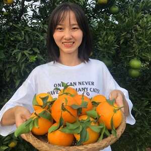 蒲江橙子