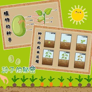 幼儿园种子秘密植物发芽成长过程自然植物角环创主题布置装饰墙贴
