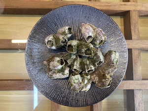 舟山海捕水产海鲜野生藤壶 东极岛稀有大号雀嘴藤壶5斤装