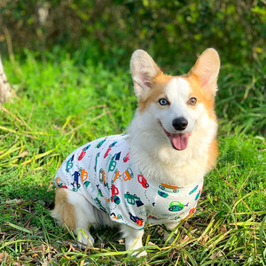 柯基专用衣服夏季薄款中型犬夏天透气居家睡衣防掉毛宠物狗狗夏装