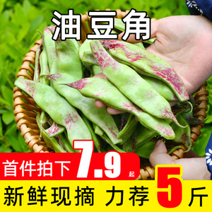 正宗东北油豆角新鲜现摘应季农家蔬菜扁豆角绿色九月青一点红豆角