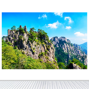 恒山背有靠山图卧室办公室墙贴画壁画自粘画五岳名山客厅装饰画