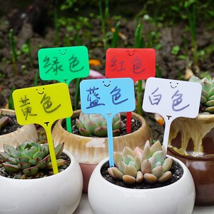 植物标签插牌园艺t型多肉标签植物名字地牌 记录花卉标识牌彩色挂