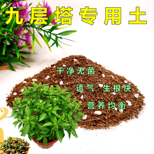 九层塔专用土金不换可食用香草培植土香料薄荷罗勒叶通用型营养土