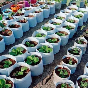 无纺布植树袋加厚美植袋月季种植袋楼顶阳台种菜袋黑色育苗厂家定