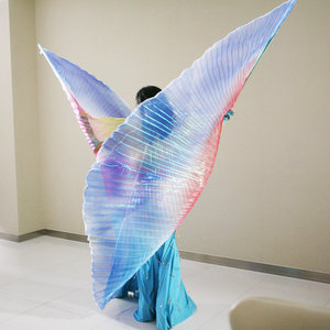 六一肚皮舞金翅道具3色幻彩翅膀成人演出翅膀舞蹈服360度彩色翅膀