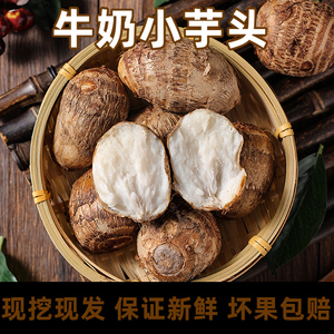 山仙助山东牛奶芋头新鲜小香芋毛芋头芋艿非广西荔浦芋头大果包邮