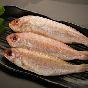 新鲜红杉鱼条