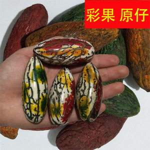 千眼菩提子彩果原籽绿果红果彩色千眼菩提胖果大果手把件原果原料