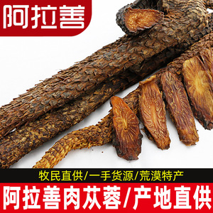 肉苁蓉阿拉善肉苁蓉野生内蒙古锁阳淫羊藿中药材整根切片泡酒泡茶