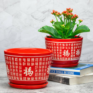 鸿运当头专用花盆花盆陶瓷绿植花卉花盆桂花花盆红色兰花带福陶瓷