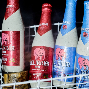 比利时小粉象啤酒粉象樱桃啤酒浅粉象深粉象给劲粉红小象啤酒精酿