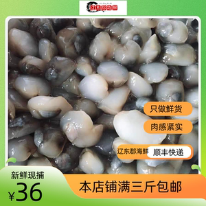 大连本地鲜活泥螺贝类 泥溜子  新鲜无沙大个泥溜子 三斤顺丰包邮