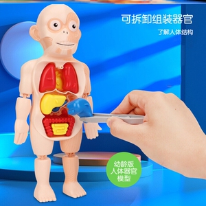 3d内雕人体骨骼模型摆件器官解刨图展示标本医学生纪念礼品0人付款53