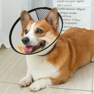 宠物狗狗伊丽莎白圈防水防舔防抓美容用品脖套项圈中型犬泰迪柯基