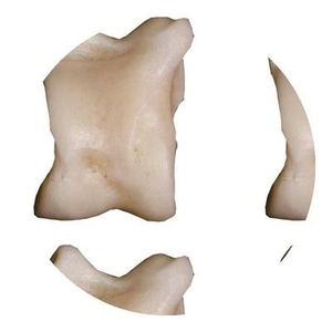 80后塑料小时候回忆怀旧玩具塑料玩具抓子嘎拉哈羊拐骨羊拐子塑料