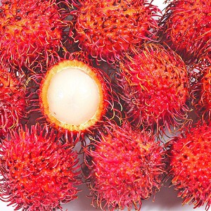 红毛丹1斤产品的详细参数,实时报价,价格行情,优质批发/供应等信息