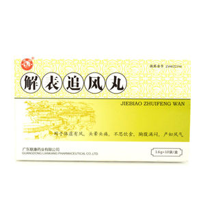 雄狮 解表追风丸 1.6g*10袋/盒