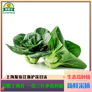 3斤现摘现发新鲜蔬菜崇明上海青小油菜 三斤菜矮脚菜一份太湖包邮