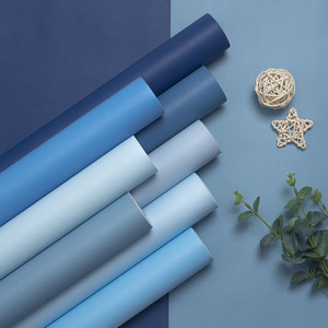 轻奢风简约现代雾霾蓝色无纺布素色纯色防水墙纸客厅沙发背景壁纸