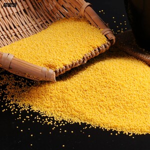 黄小米新米五斤黄金苗特级小黄米农家粗粮小米月子米食用五谷杂粮