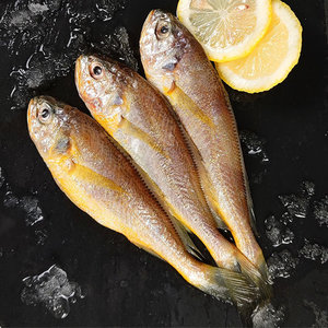 正宗舟山野生小黄鱼新鲜冷冻深海海鲜水产油炸烧烤东海黄花鱼商用