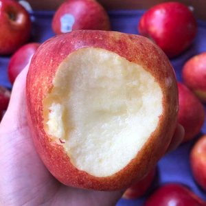 出口爱妃envy苹果新鲜水果当季箱装新西兰鲜果国内种植大果
