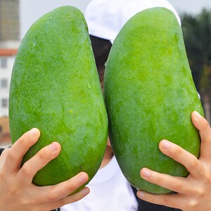 金煌芒果9斤新鲜水仙芒当季水果青甜心特大芒果整箱包邮474人付款39