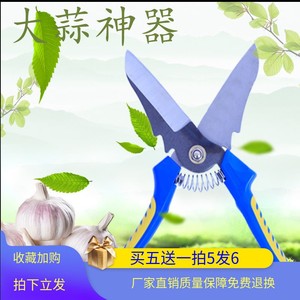 大蒜剪刀