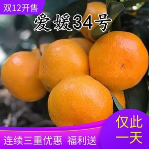 爱媛34