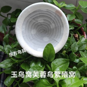 玉鸟窝架新款玉鸟繁殖窝架丝雀鸟窝架芙蓉鸟窝架子玉鸟繁殖窝鸟窝