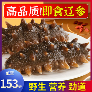 野生大连海参即食单个装海生海参旗舰店辽参刺参海参批发鲜活