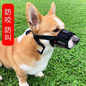 狗狗嘴套柯基防咬防叫放乱吃止吠神器中小型犬泰迪宠物口罩用品