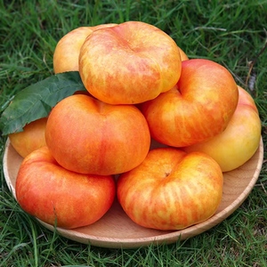 山东蒙阴黄金油蟠桃新鲜当季水果黄金肉蜜桃整箱5斤包邮脆盘桃子