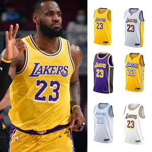 勒布朗詹姆斯球衣湖人