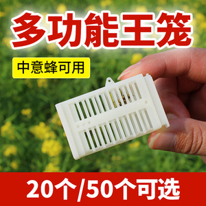 塑料多功能蜂王笼全套囚王笼中蜂意蜂专用蜜蜂养蜂工具加厚储王器