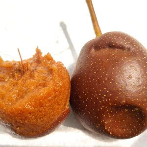 啤特果甘肃临夏特产和政啤特果酸山梨剥皮梨兰州软儿梨5斤包邮