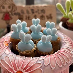760人付款淘宝蓝兔子多肉手工树脂黏土创意精品多肉(小兔子)家居摆件