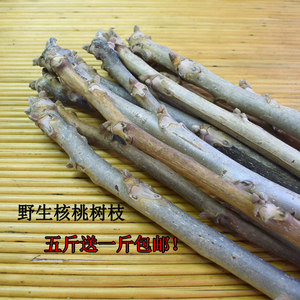 东北山核桃树枝野生楸树尖买5斤送一斤包邮