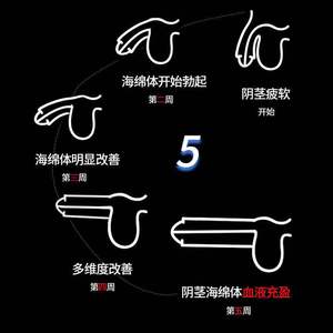 海绵体修复受损再生二次生长素发育男性硬大粗增加硬增长