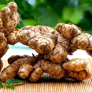 2020年新鲜四川小黄姜现挖生姜带土发货香辣调味姜月子