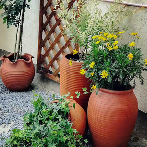 栽花陶罐组合