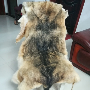 狼皮真狼皮