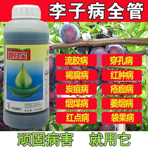 李子桃树杀菌剂李子树病全治流胶病穿孔病褐腐病灰霉病烟煤病农药